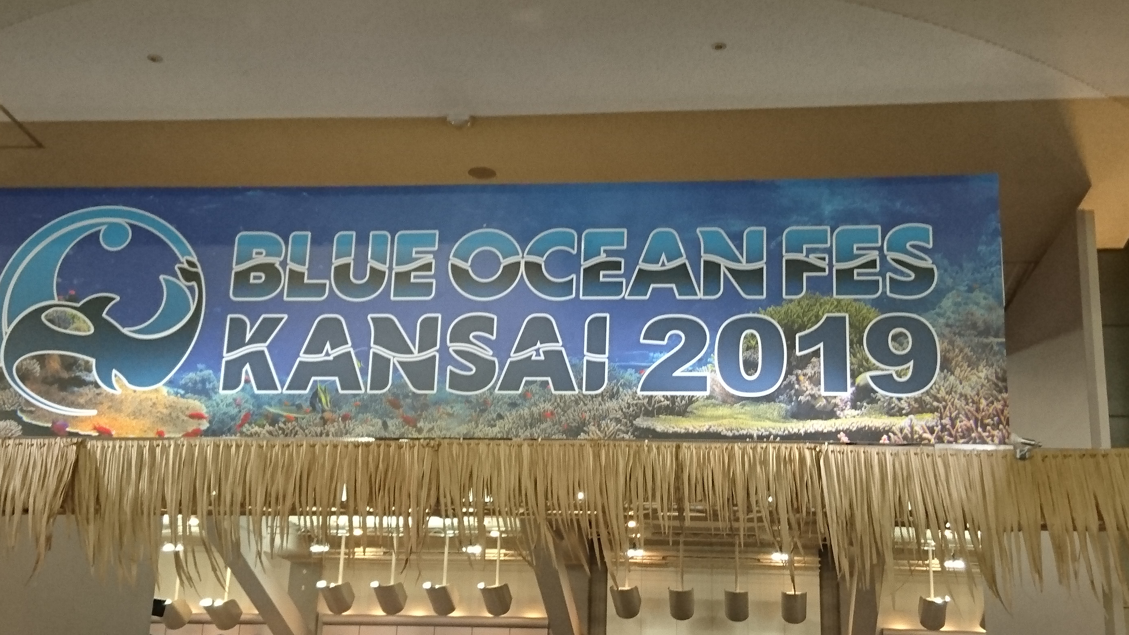 ブルーオーシャンフェスKANSAI2019