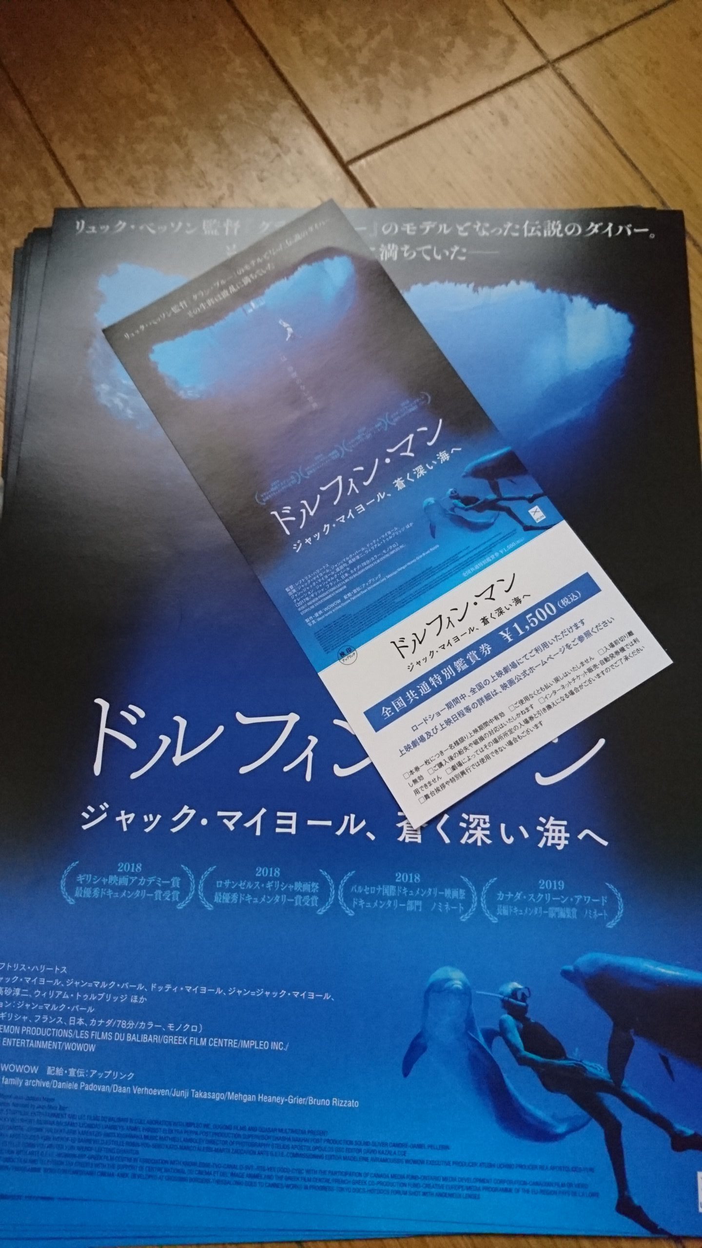 チラシと前売券