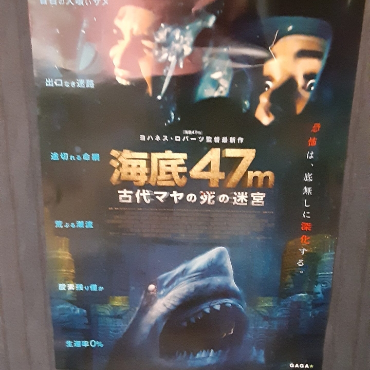 海底47m 古代マヤの死の迷宮