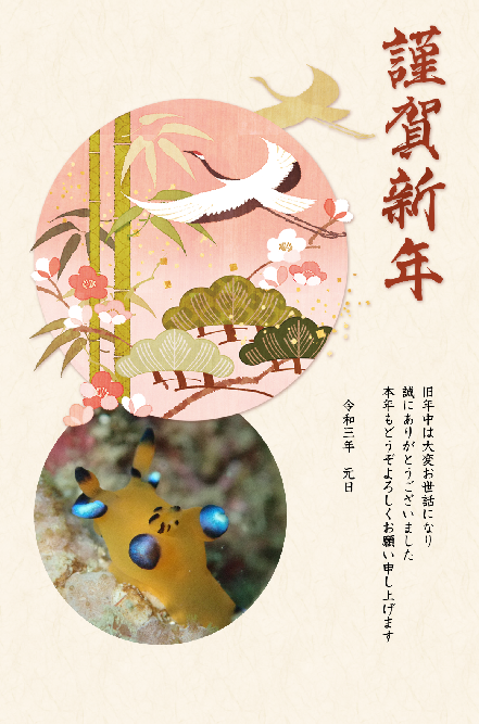 あけましておめでとうございます