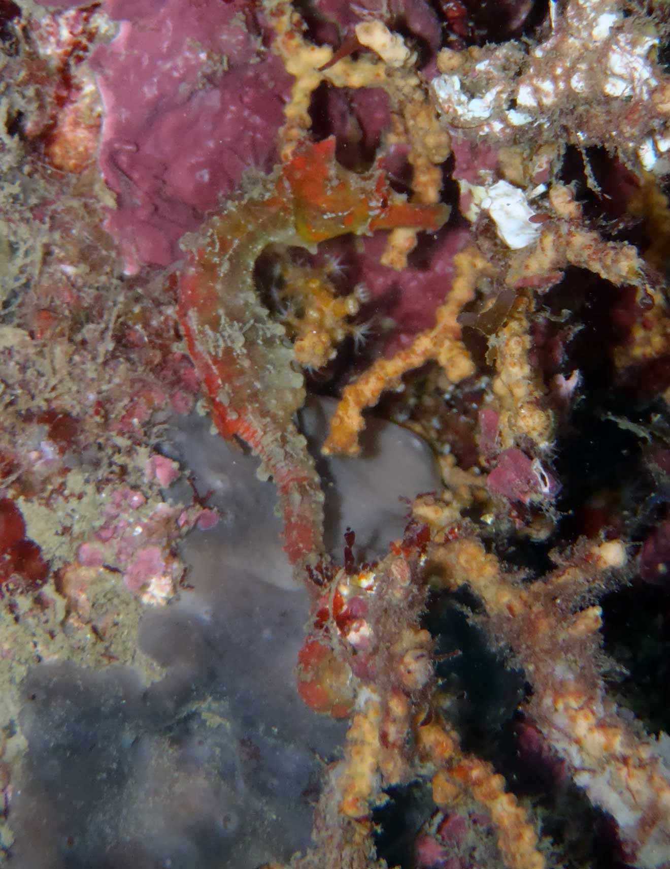 あけましておめでとうございます。