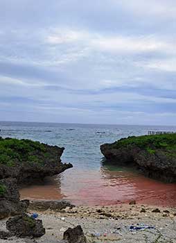 サンゴの産卵で色づいた海岸