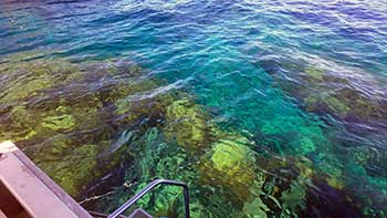 透明度の良い海