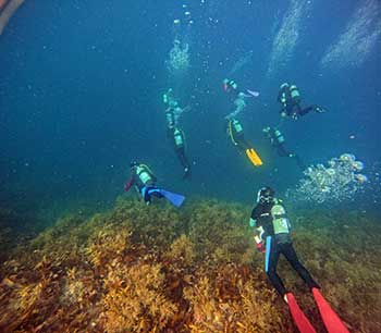 透明度の高い日本海